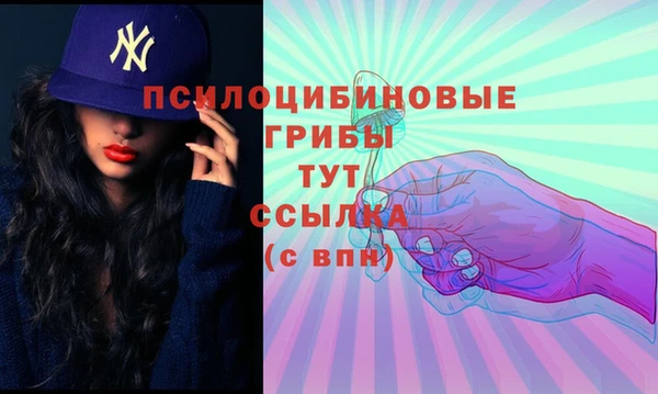спайс Абинск