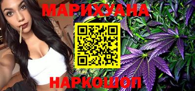 индика Можайск