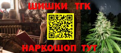 индика Можайск