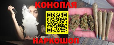 индика Можайск