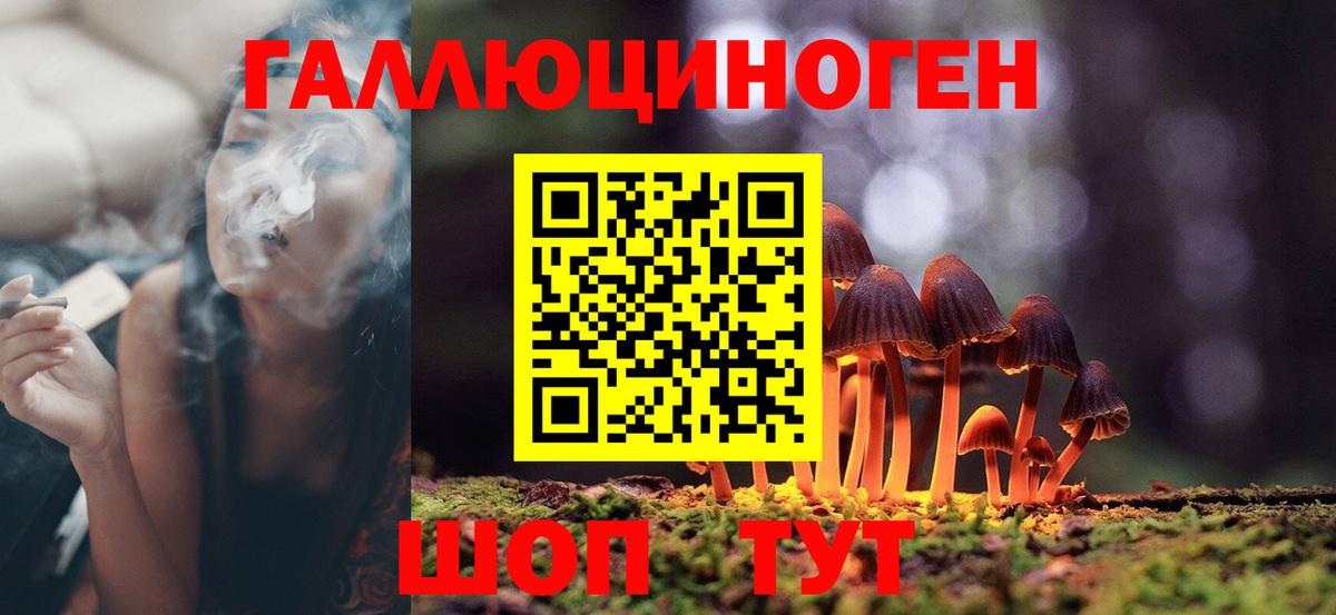 Ухта  Псилоцибиновые грибы мухоморы  Вход с VPN  Галлюциногенные грибы Psilocybe 